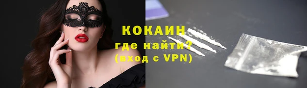 дживик Белокуриха