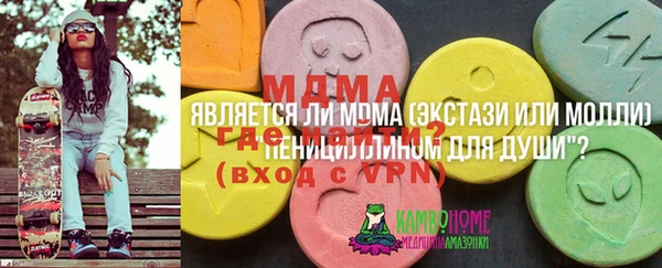 дживик Белокуриха