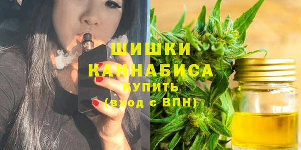 дживик Белокуриха