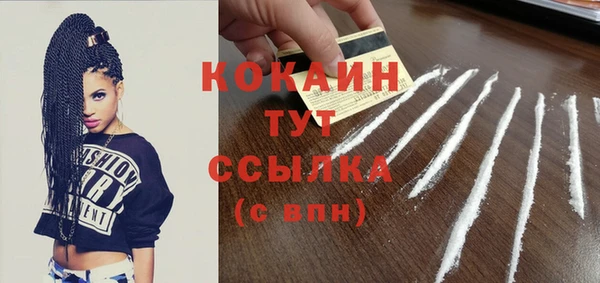 дживик Белокуриха