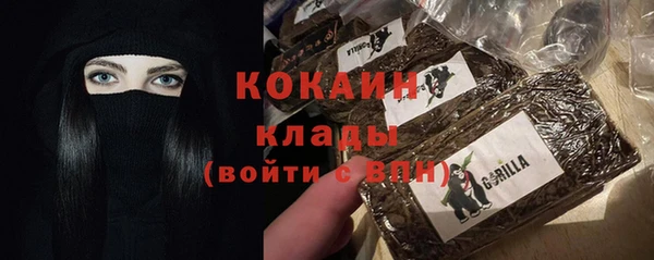 дживик Белокуриха